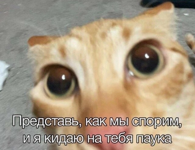 Скрины из соцсетей