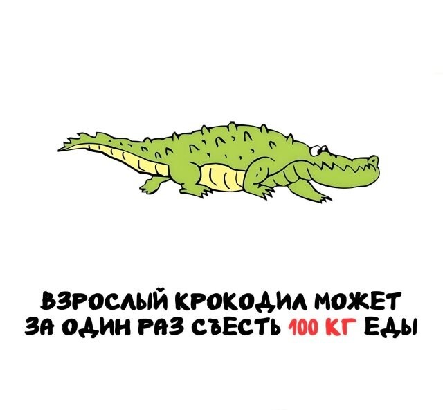 А вдруг ты не знал…