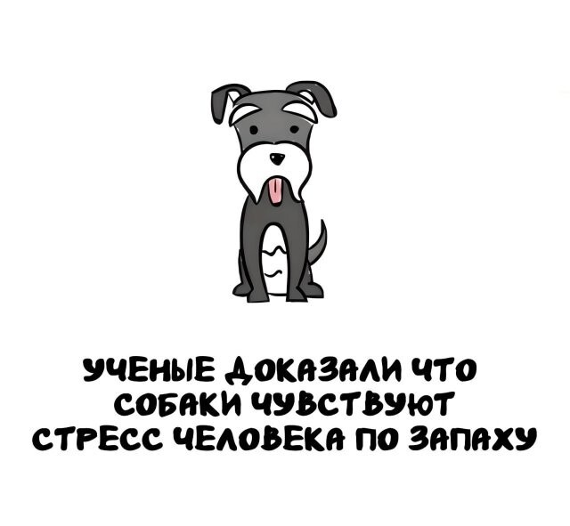 А вдруг ты не знал…
