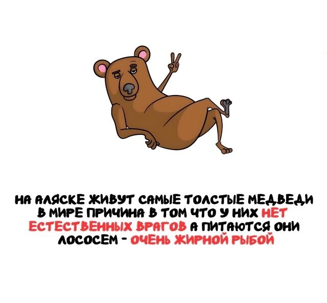 А вдруг ты не знал…