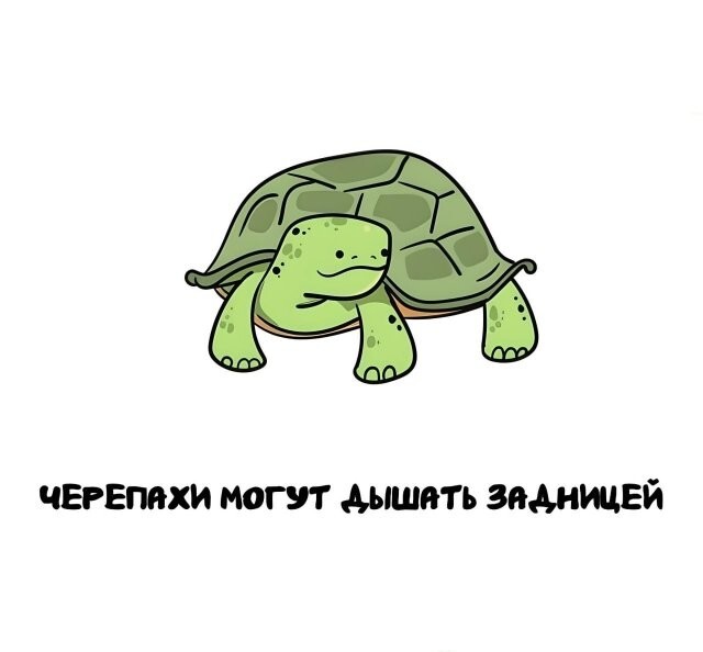 А вдруг ты не знал…