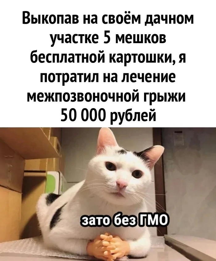 Не ищите здесь смысл. Здесь в основном маразм