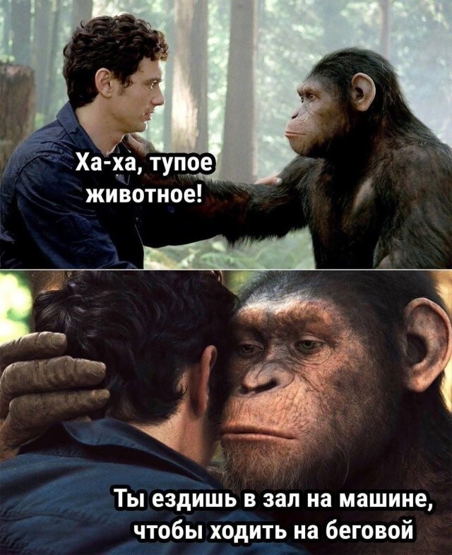Не ищите здесь смысл. Здесь в основном маразм