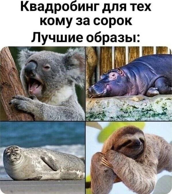 Не ищите здесь смысл. Здесь в основном маразм