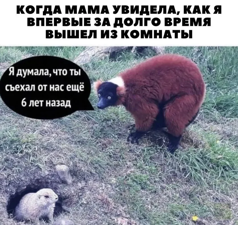  Мемы про родительство, в которых правды больше, чем юмора