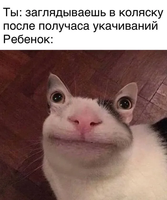  Мемы про родительство, в которых правды больше, чем юмора