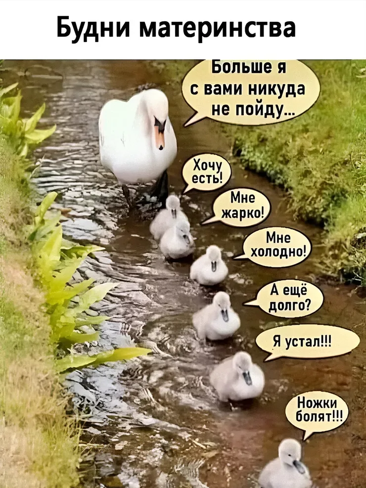  Мемы про родительство, в которых правды больше, чем юмора
