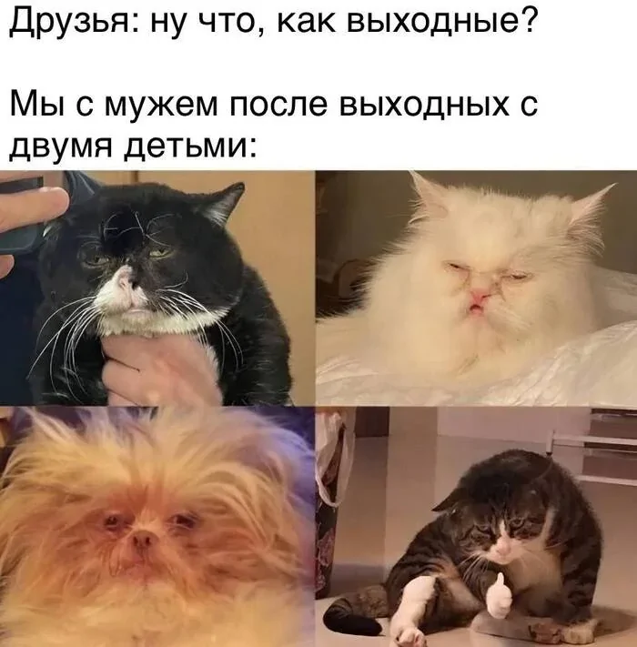  Мемы про родительство, в которых правды больше, чем юмора