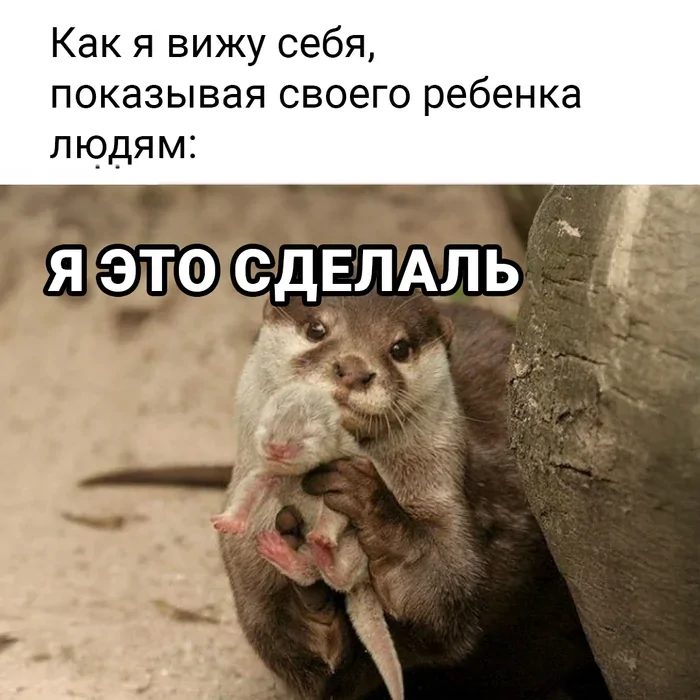  Мемы про родительство, в которых правды больше, чем юмора