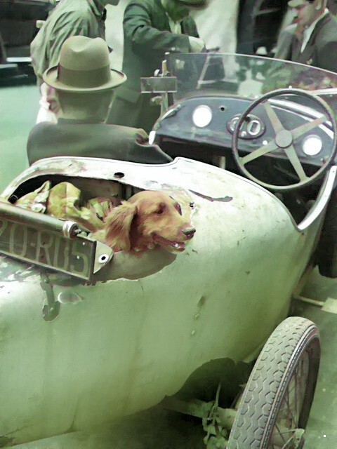 АвтоВсячина