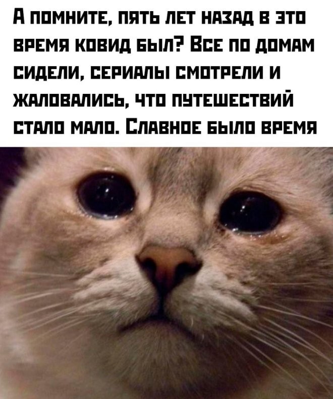 Смешные картинки
