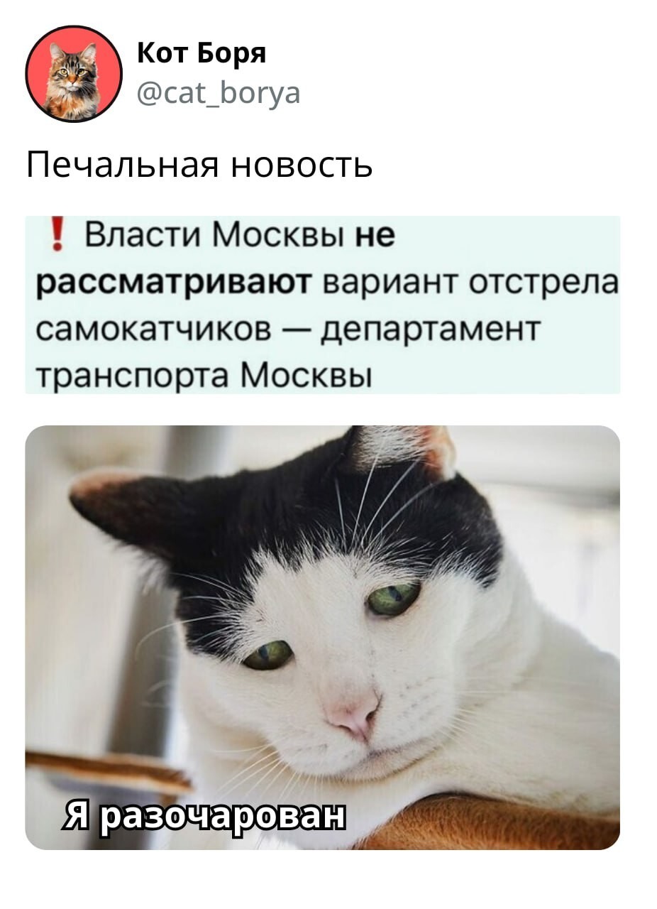 Смешные картинки