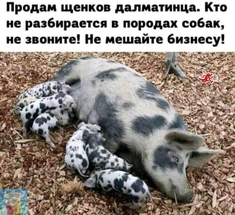 Смешные картинки