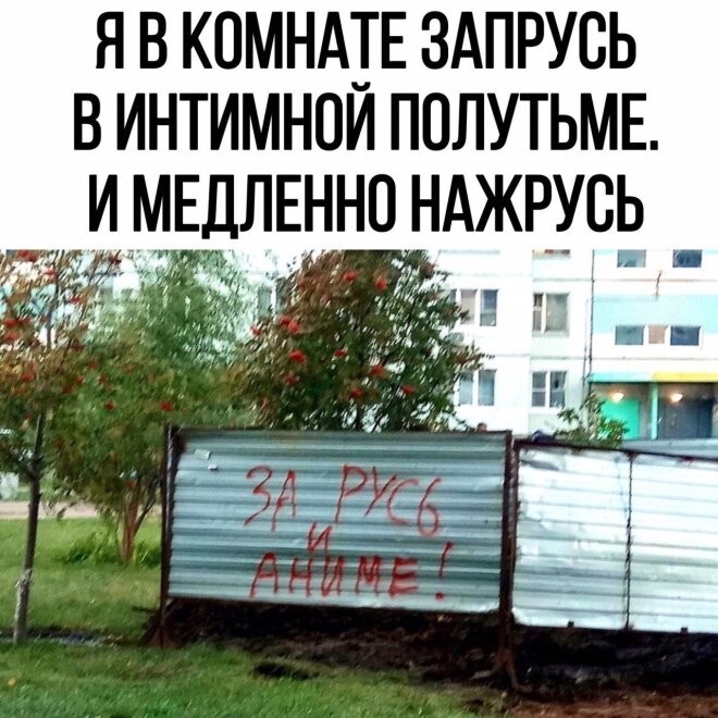 Смешные картинки