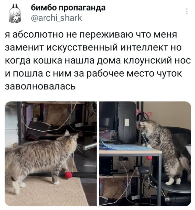 Скрины из соцсетей