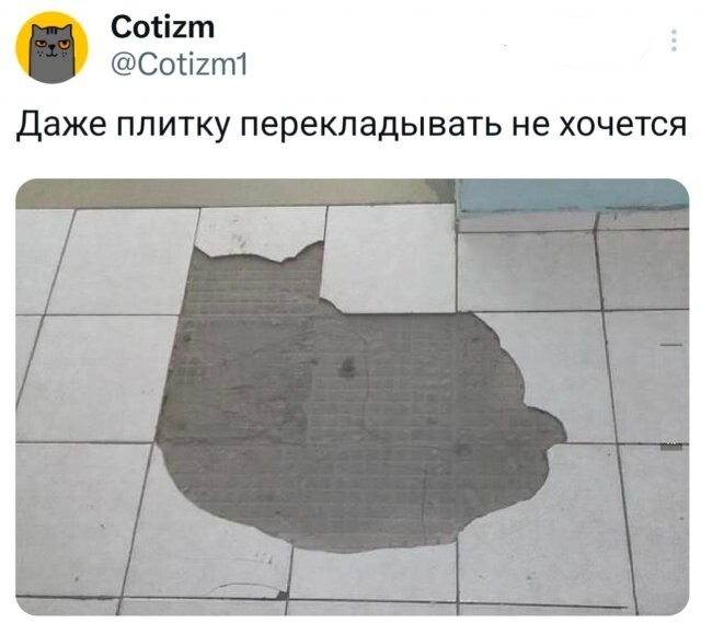 Скрины из соцсетей