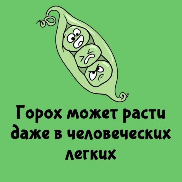 А вдруг ты не знал…