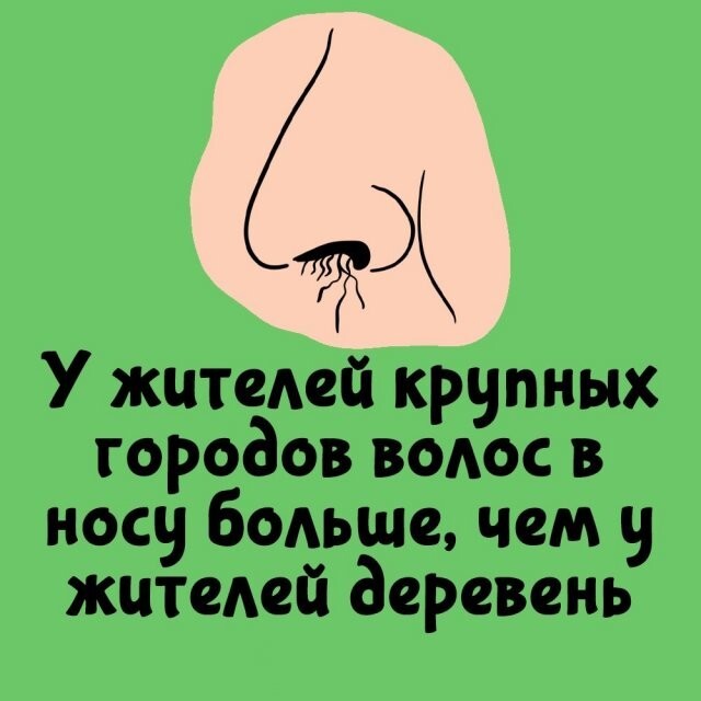 А вдруг ты не знал…