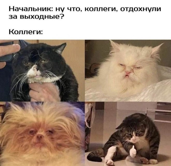 Не ищите здесь смысл. Здесь в основном маразм