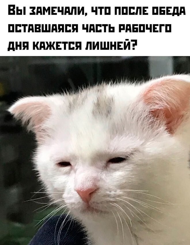 Не ищите здесь смысл. Здесь в основном маразм