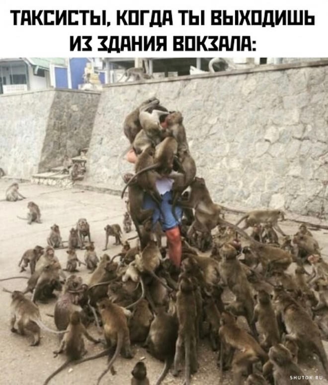 Не ищите здесь смысл. Здесь в основном маразм