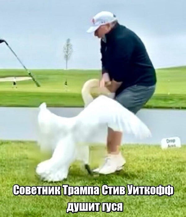 О политике и не только