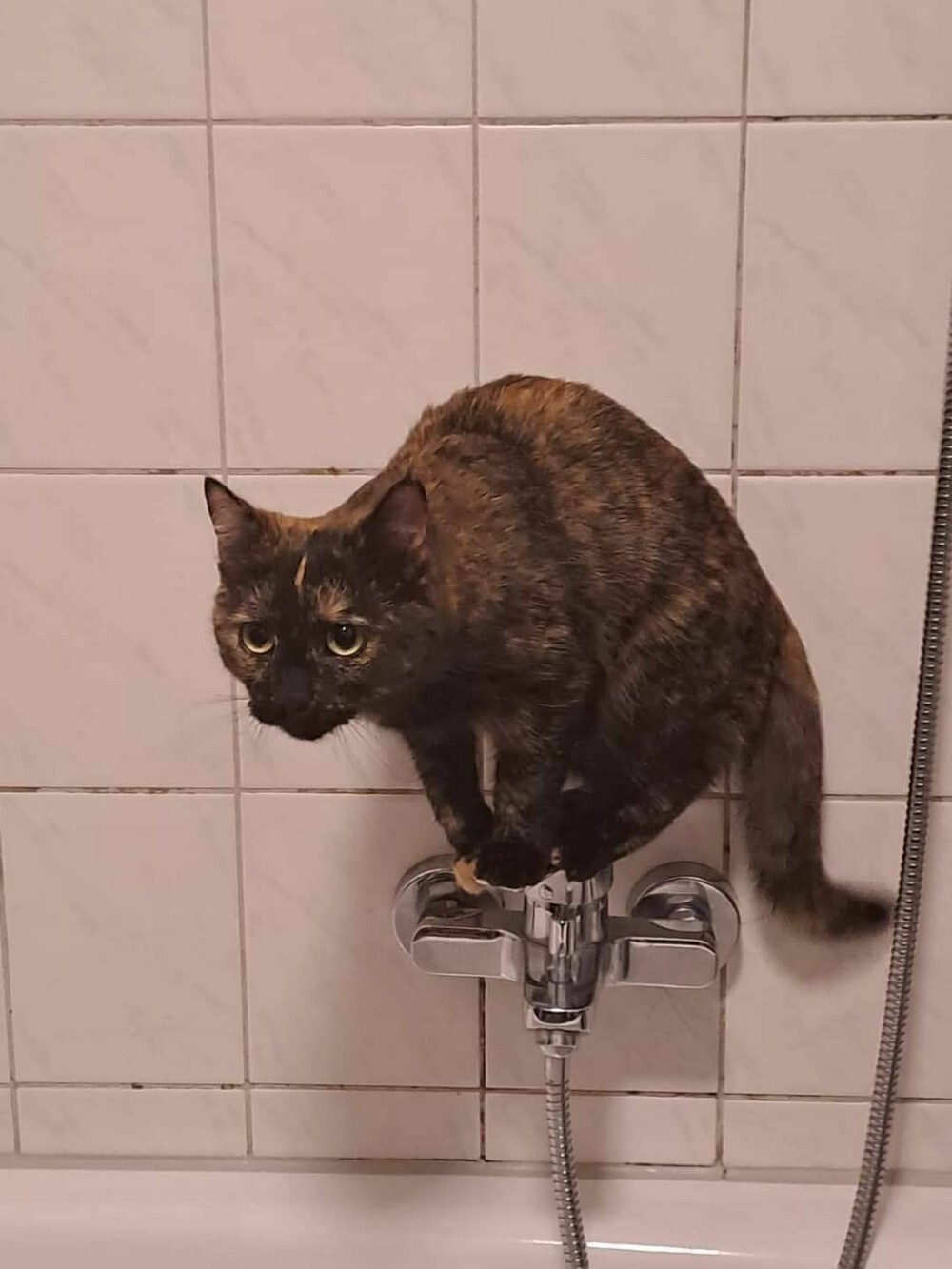 На общую тему 