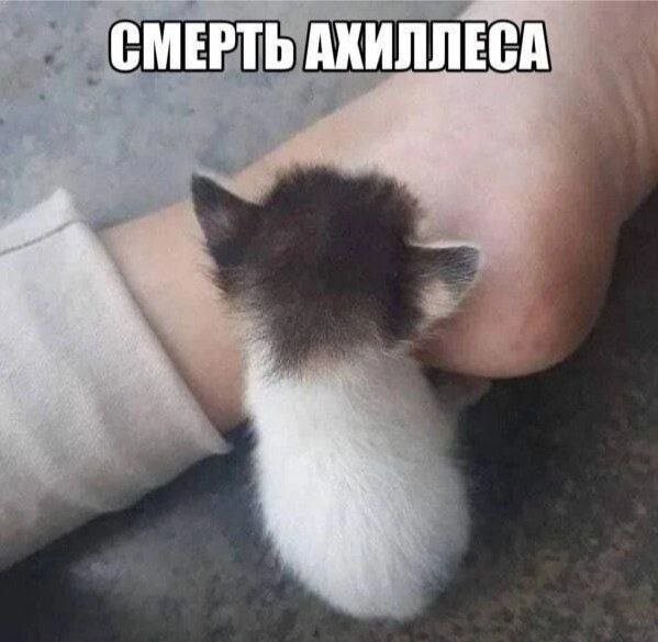 Скрины из соцсетей 