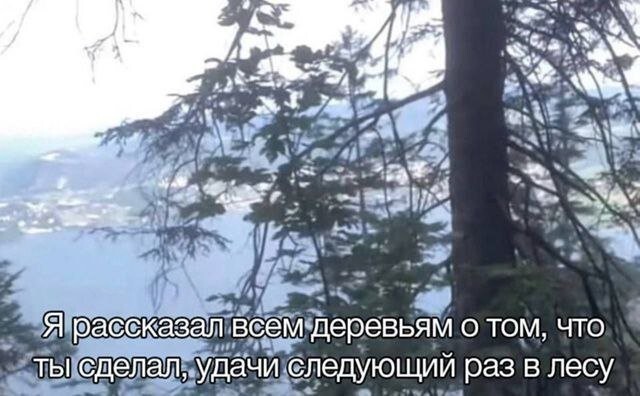 Скрины из соцсетей 