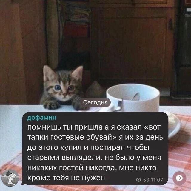 Скрины из соцсетей 