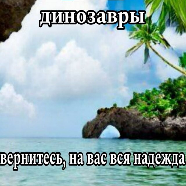 Скрины из соцсетей 