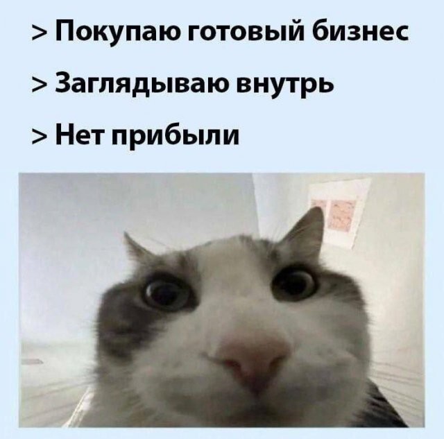 Скрины из соцсетей 