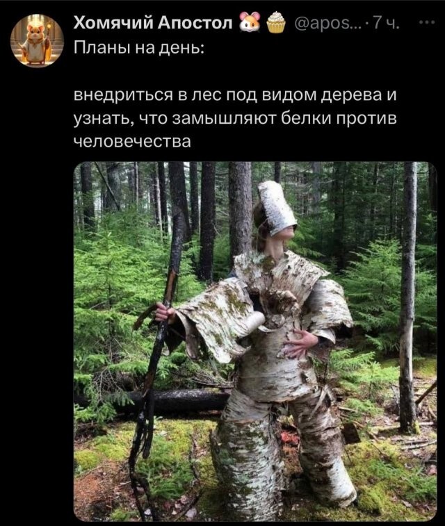 Скрины из соцсетей 