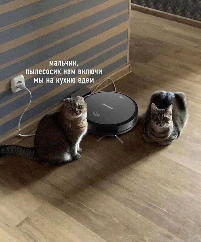 Скрины из соцсетей 