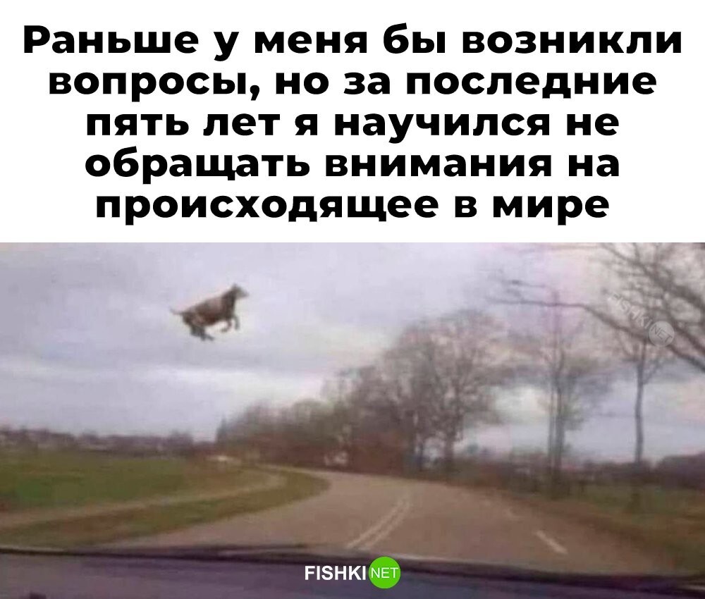 Скрины из соцсетей 