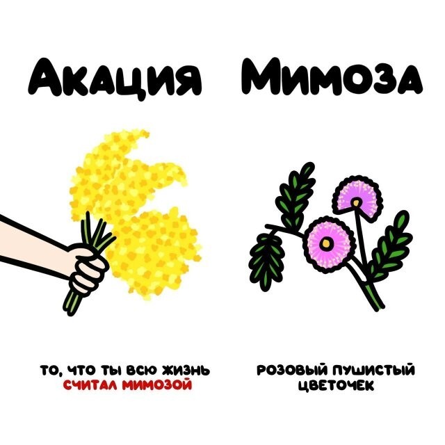 А вдруг ты не знал…