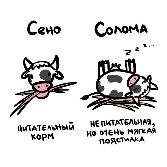 А вдруг ты не знал…