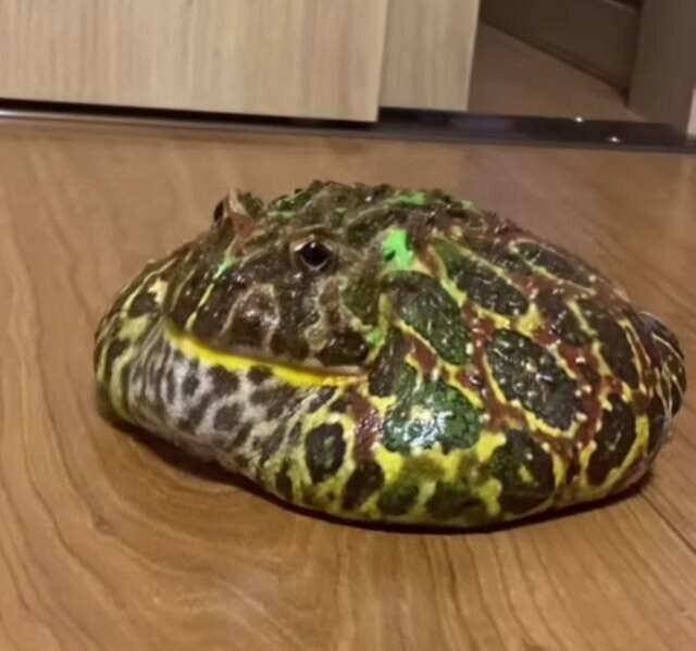Намешалось 