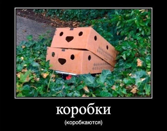 Я о чём то таком догадывался.
