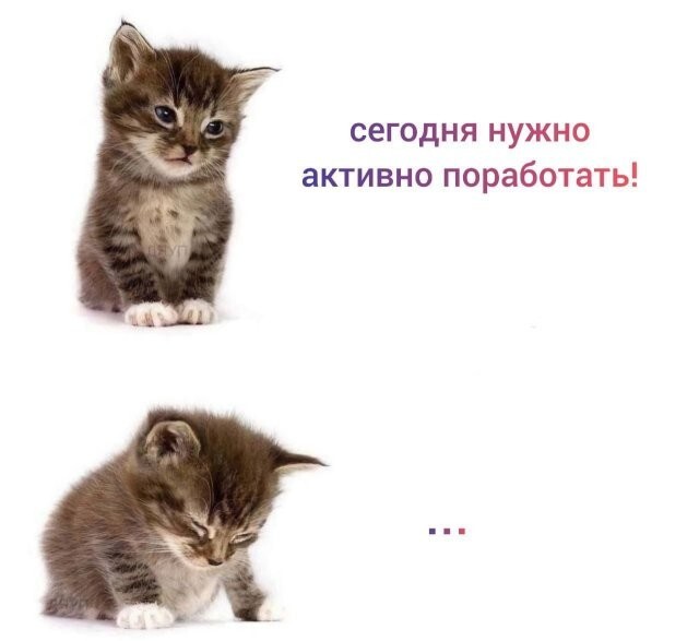 Не ищите здесь смысл. Здесь в основном маразм
