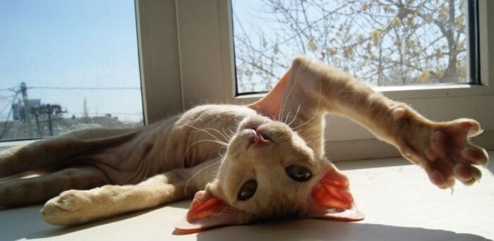 15. Сфоткай меня!