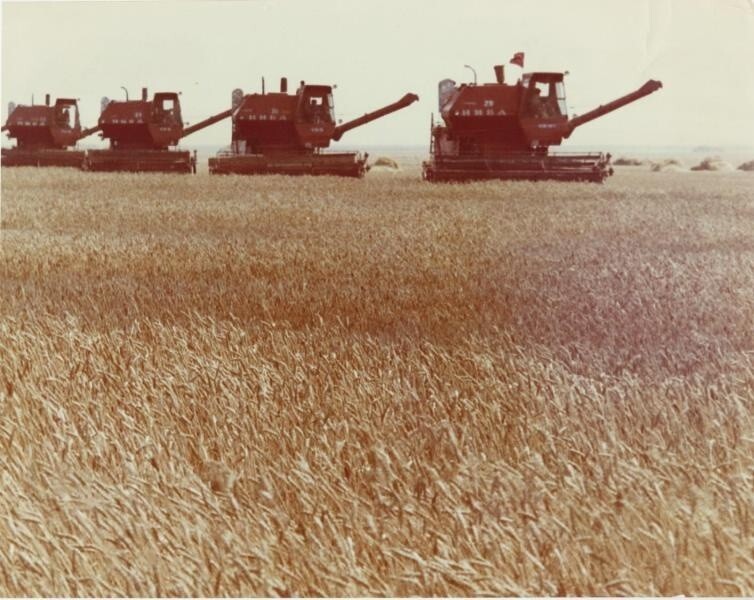 Уборка хлеба. 1980-е. Неизвестный автор.
