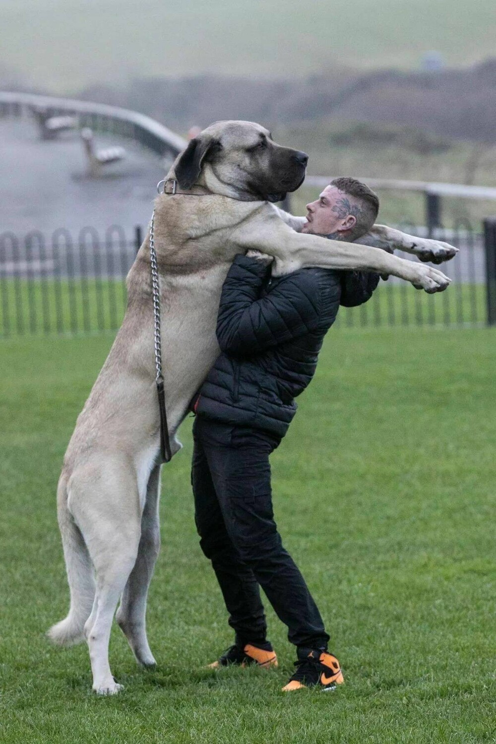 На общую тему 