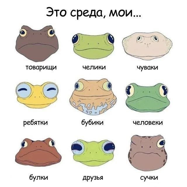Скрины из соцсетей
