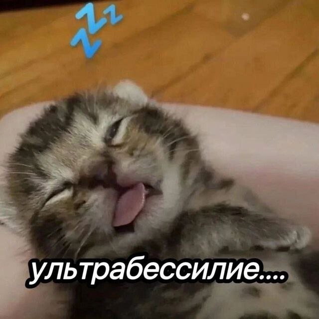 Скрины из соцсетей