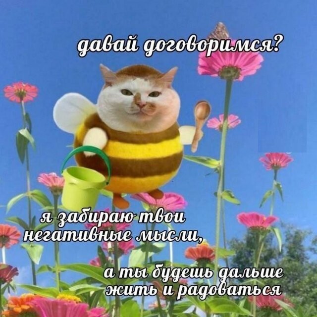 Скрины из соцсетей