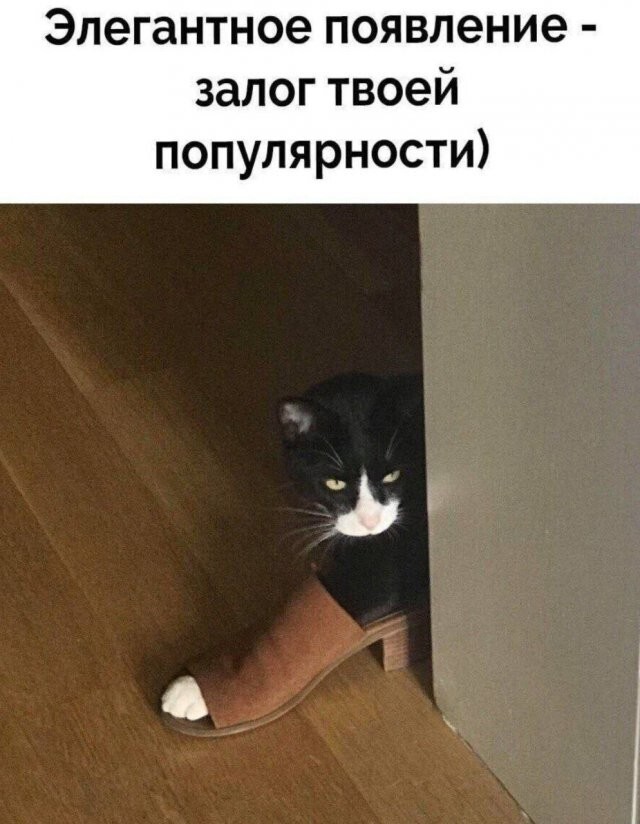 Скрины из соцсетей