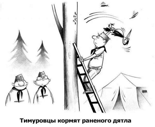 Скрины из соцсетей