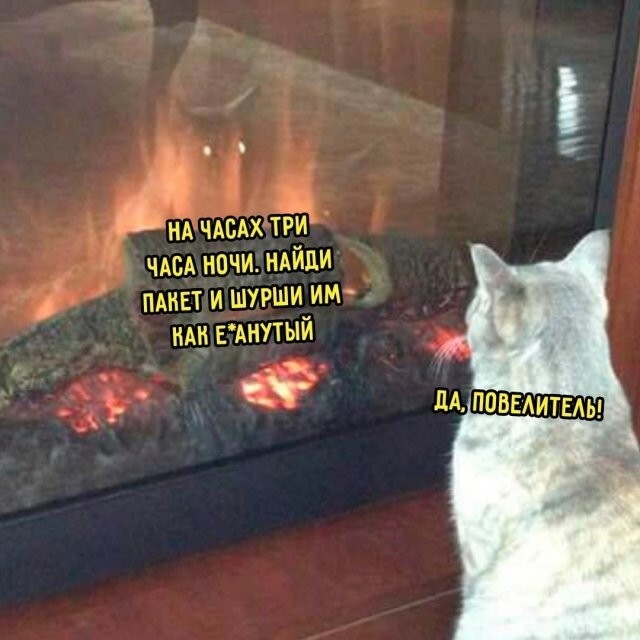 Не ищите здесь смысл. Здесь в основном маразм