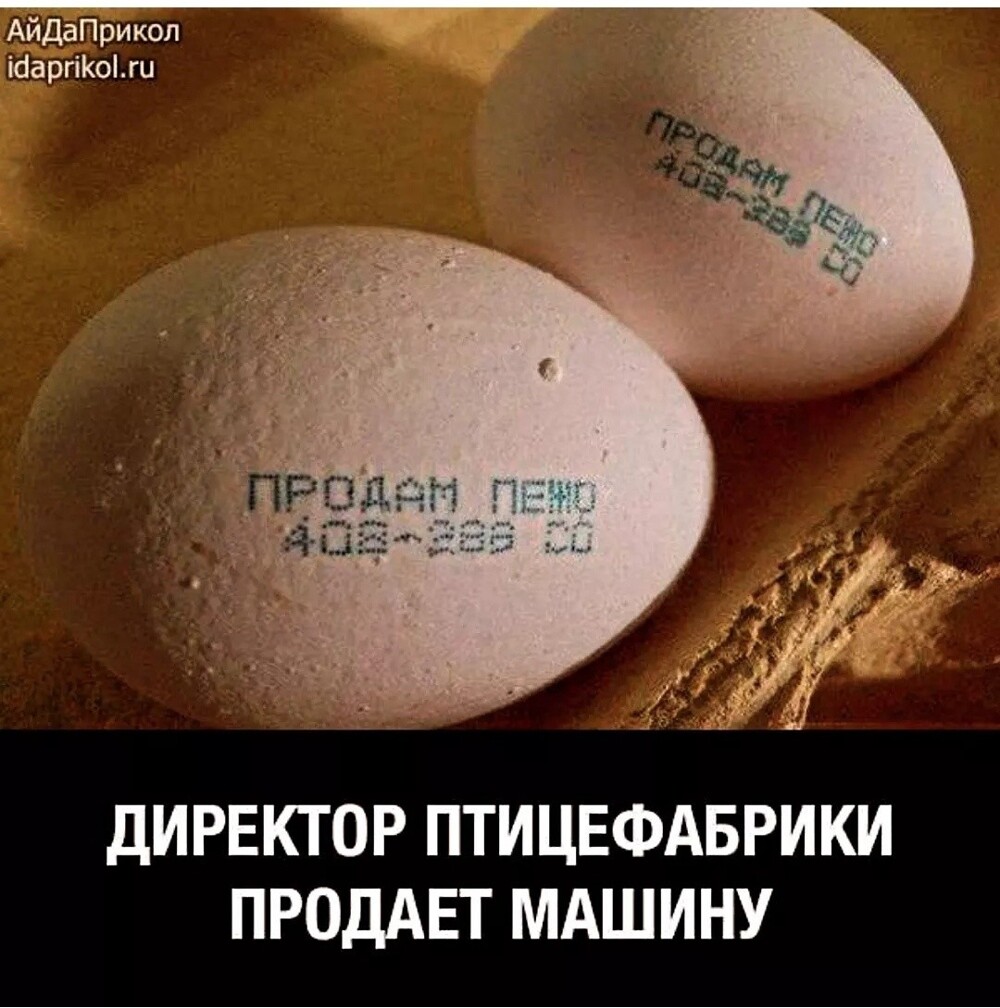 Большая тарелка улыбатора